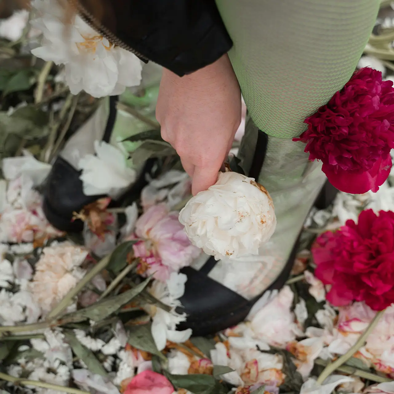 Some Clear Boots - Image 4